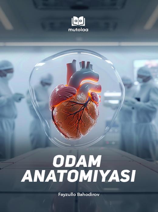 Odam anatomiyasi