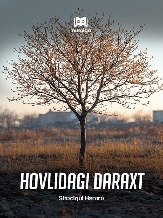 Hovlidagi daraxt